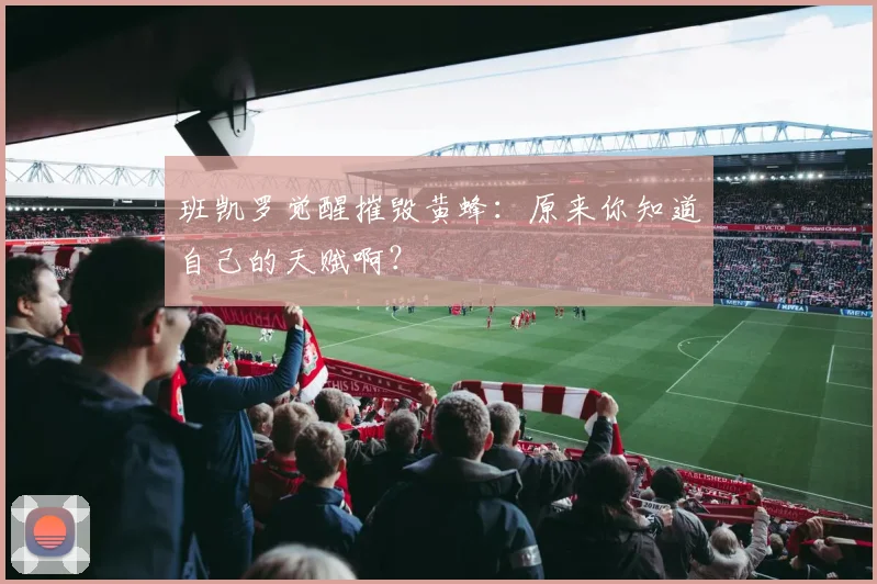 班凯罗觉醒摧毁黄蜂：原来你知道自己的天赋啊？